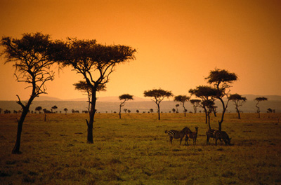 Photo Afrique