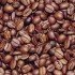 Coffee_beans